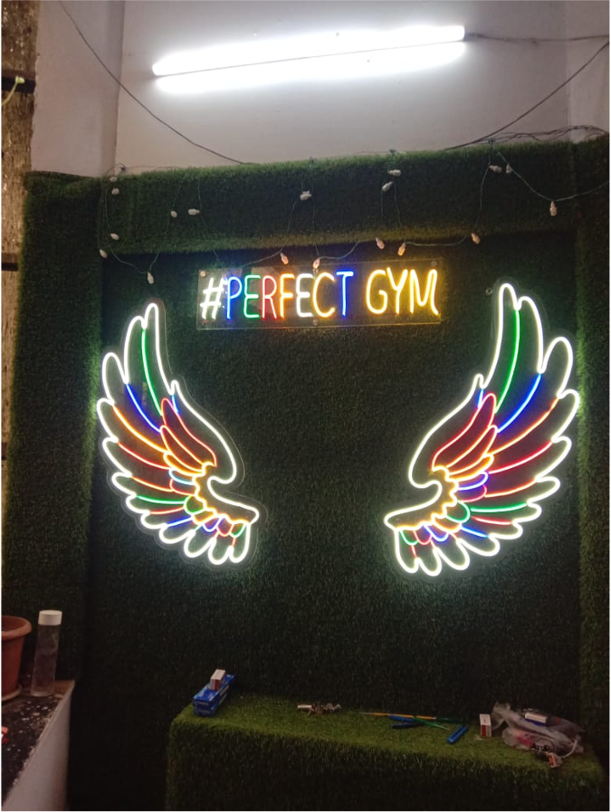 Perfact gym - image 3